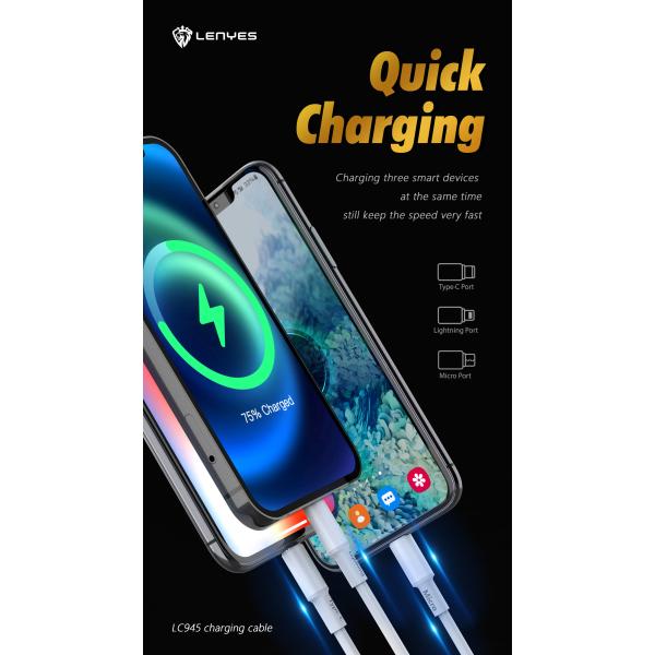 Lenyes 6-in-1 Multifunctional Charging Cable