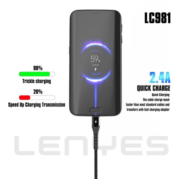 Lenyes Micro charging cable